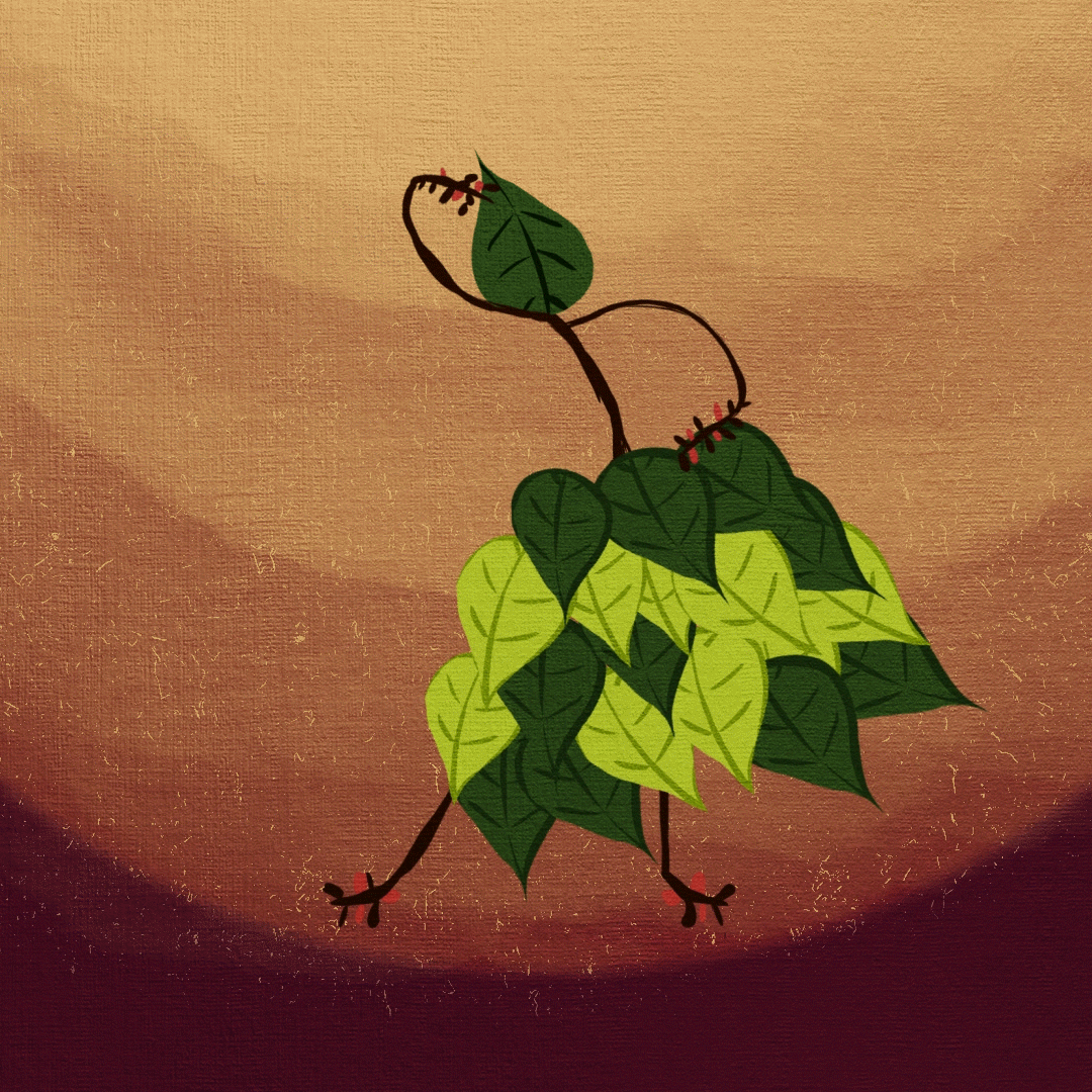 Dance cycle